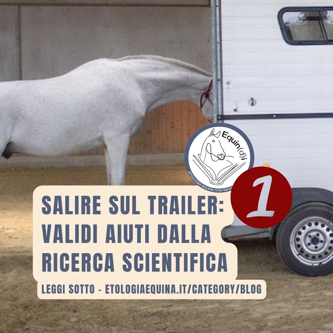 Salire sul trailer: validi aiuti dalla ricerca scientifica_1