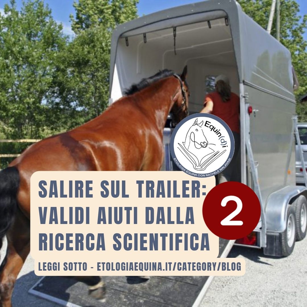 Salire sul trailer: validi aiuti dalla ricerca scientifica_2