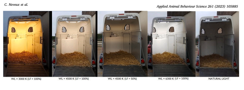 differenti illuminazioni a led nel trailer dei cavalli