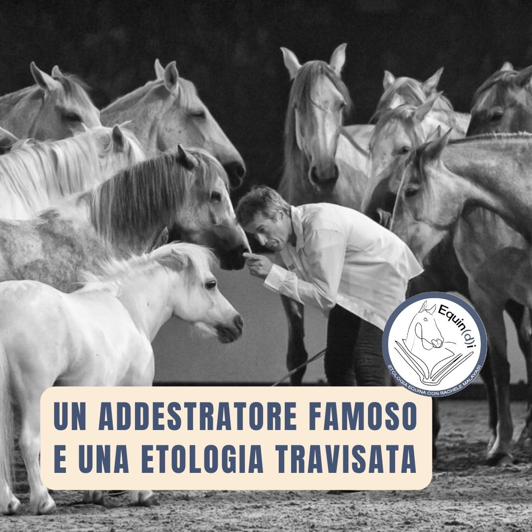 pignon con i suoi cavalli - ma è vera etologia?