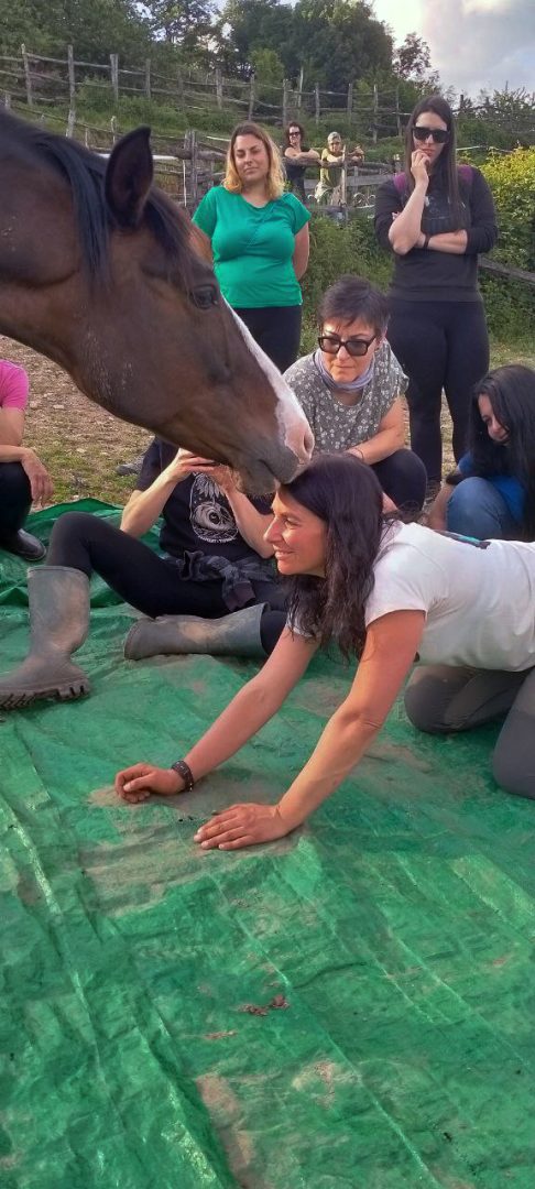 telo cavallo Rachele