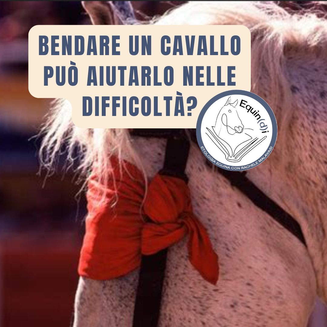 bendare un cavallo può aiutarlo nelle difficoltà?