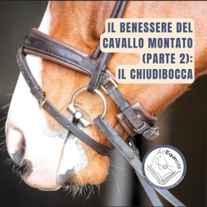 Benessere cavallo montato_2_chiudibocca